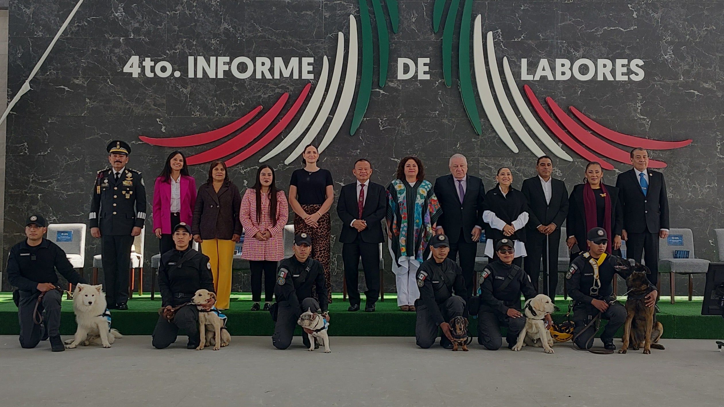El escuadrón canino de apoyo emocional del AIFA