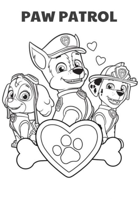 Paw Patrol posando en el Día Mundial de Bendecir a los animales