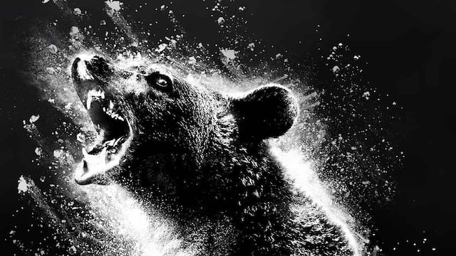 El póster oficial de Oso Vicioso, la nueva película de un oso que consumió 30 kilos de cocaína