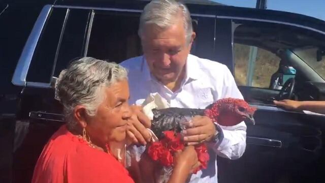 AMLO y el guajolote