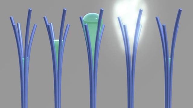 Los 'nanobastones' podrían ser una forma ideal de recolectar agua.