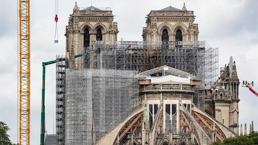 Para la reconstrucción de Notre Dame se talarán un millar de robles
