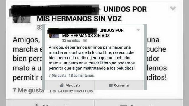 Despistado llama a marchar en contra de Rey Misterio por "abuso animal"
