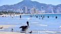 Turismo sostenible, la nueva ruta de México