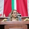 Advierte diputada Laura Álvarez sobre riesgo en Escuela Primaria “Mártires de Tacubaya”; exige atención urgente a planteles en condiciones críticas