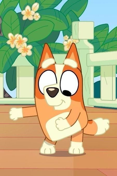 Fondos de Bingo, hermana de Bluey