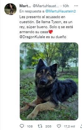 Tuit presentando al perro Tyson, ladrón de alfombras