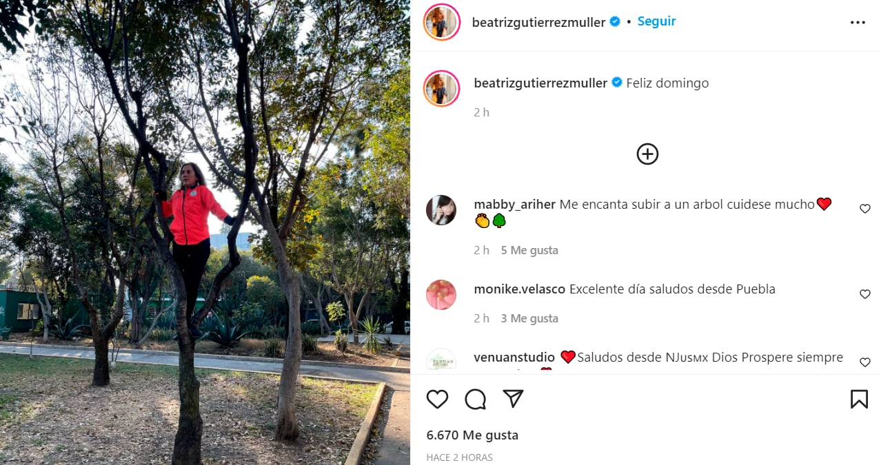 Publicación de Beatriz Gutiérrez Müller arriba de un árbol