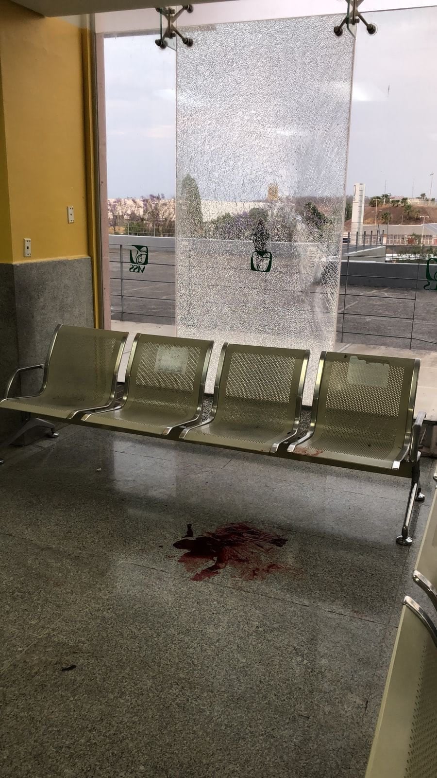 imss charo