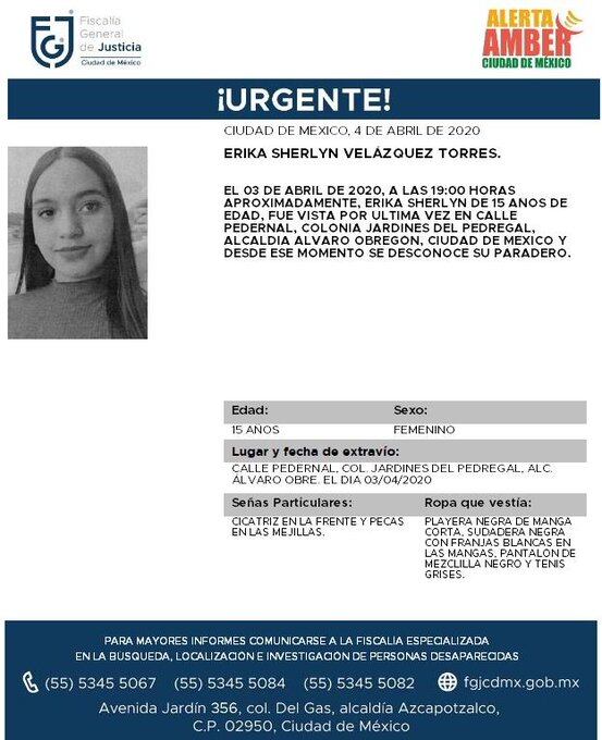 Ficha de búsqueda de Erika.