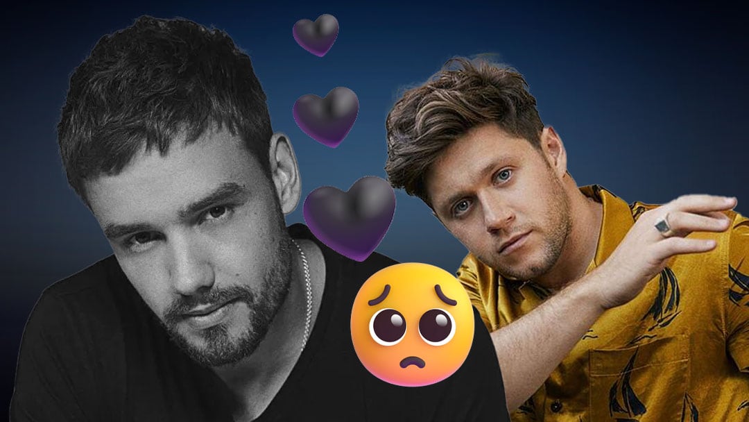 Liam Payne había viajado a Argentina para reencontrarse con Niall Horan