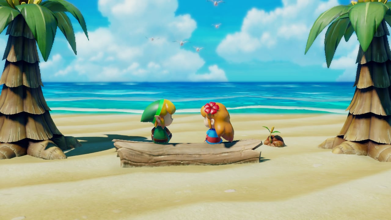 Link y Marin