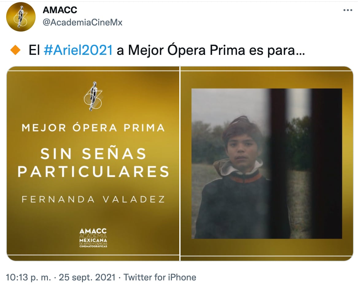 Sin señas particulares, Premios Ariel 2021