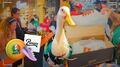 Pato Merlín tiene tenis Panam edición especial; este es su precio