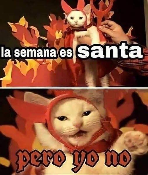 Memes de la Semana Santa 2025