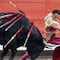 No más corridas de toros en Plaza México, un juez las suspende