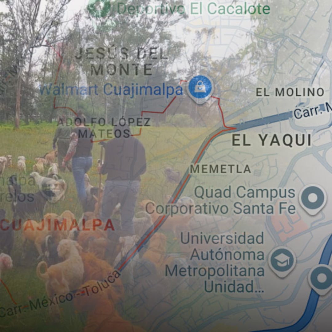 Refugio Franciscano toma posesión de predio en Cuajimalpa tras disputa