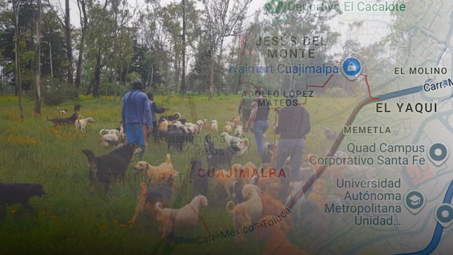 Refugio Franciscano toma posesión de predio en Cuajimalpa