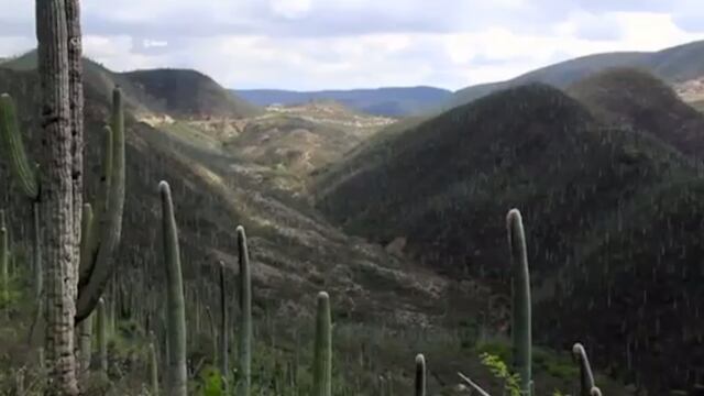 Tehuacán-Cuicatlán, entre Puebla y Oaxaca.