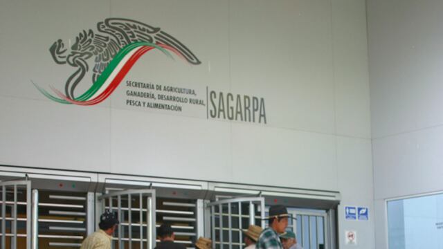 Sagarpa. Presuntos desvíos.