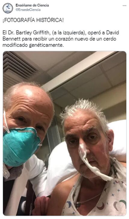 Trasplante corazón de cerdo
