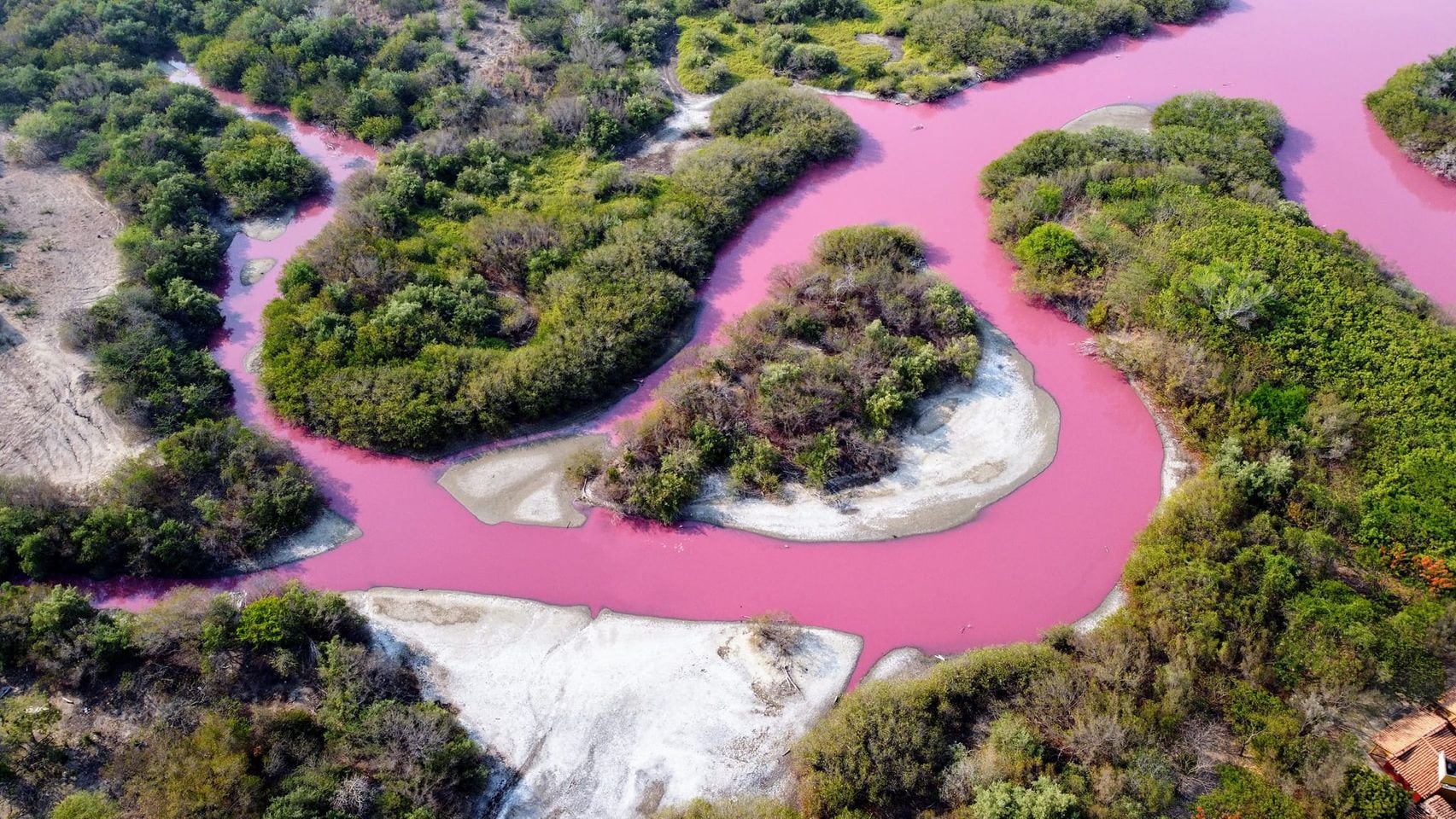 La laguna "La Salina" se pinta de rosa en Oaxaca/Esau Zavaleta MX