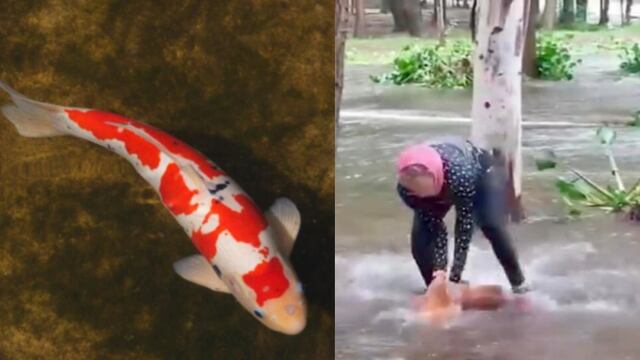 Se desbordan lagos de parque Tangamanga I y peces mueren en la calle