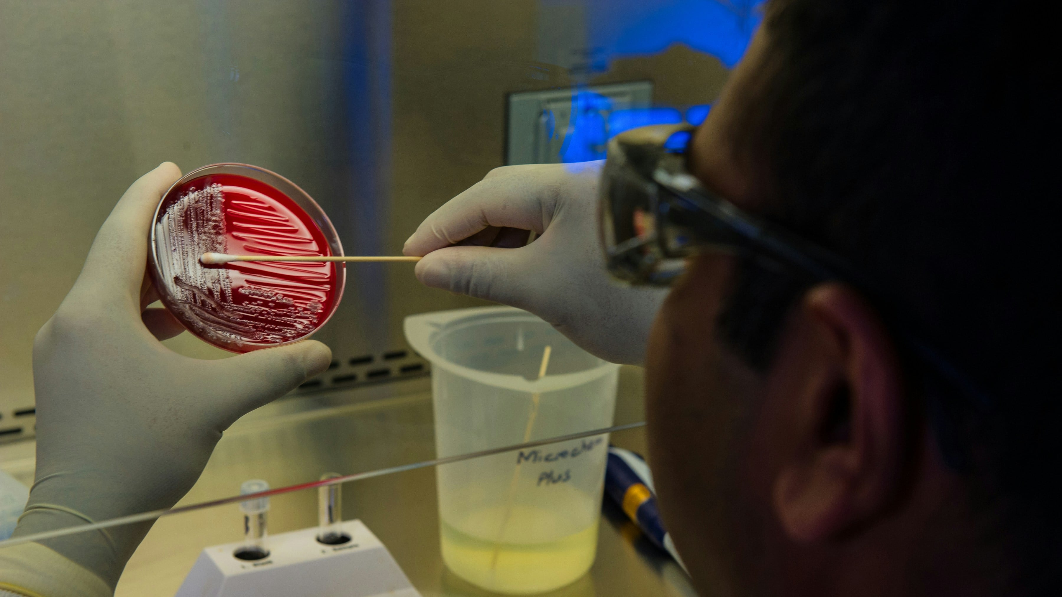 Al menos 26 bacterias desconocidas fueron descubiertas en un robot de la NASA enviado a Marte