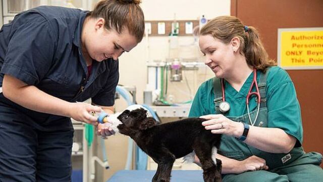 Universidad de Mississippi / Facebook