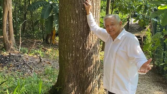 AMLO este 13 de noviembre en su cumpleaños 69