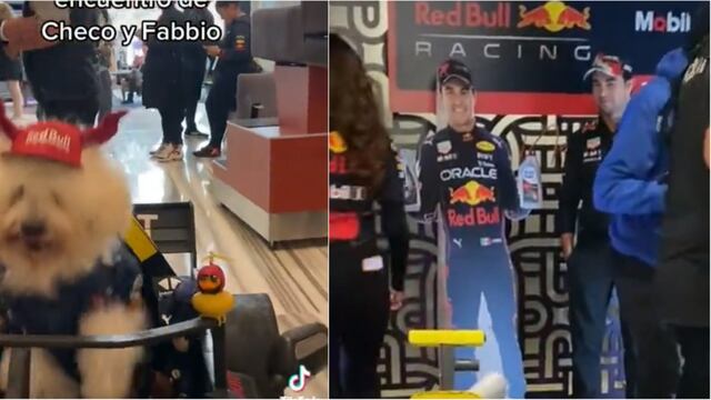 El perro Fabbio se encontró con Checo Pérez
