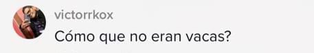 Comentario video de ronquido que no deja dormir
