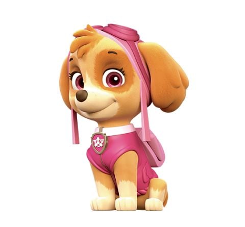 Skye de Paw Patrol