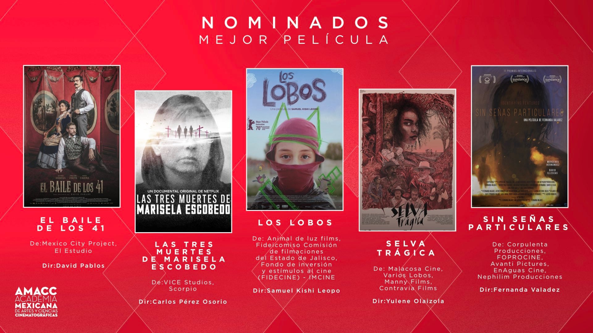 Mejor película, premios Ariel 2021
