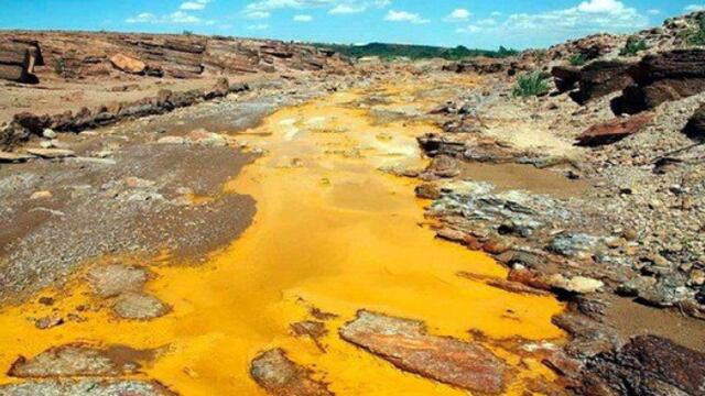 A días de lo sucedido aparecieron varios peces muertos, una caguama y un lobo marino,