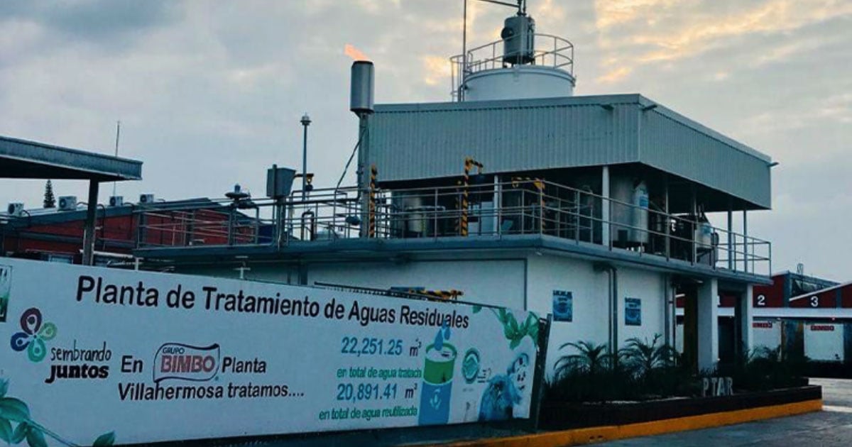 Día Mundial de la Tierra