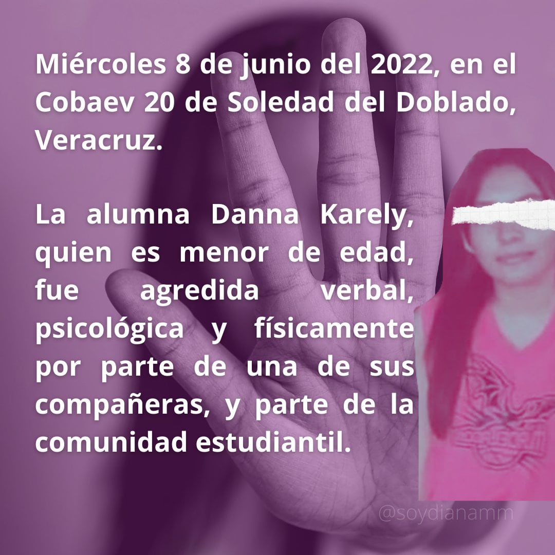 Caso de Danna