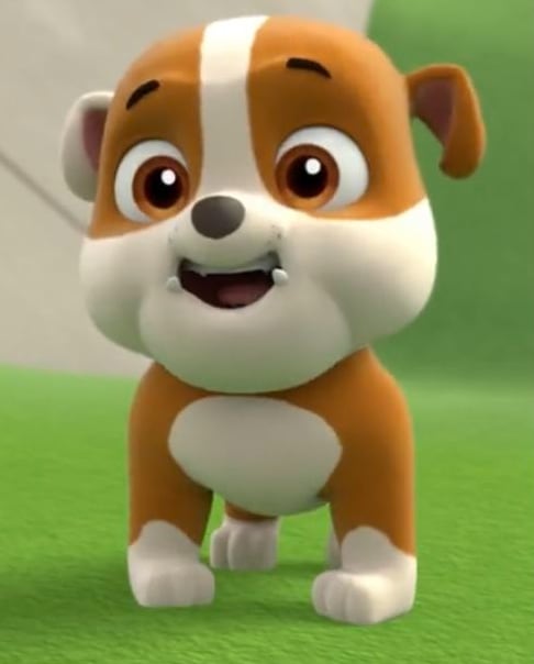 Imágenes que demuestran que raza es Rubble de Paw Patrol
