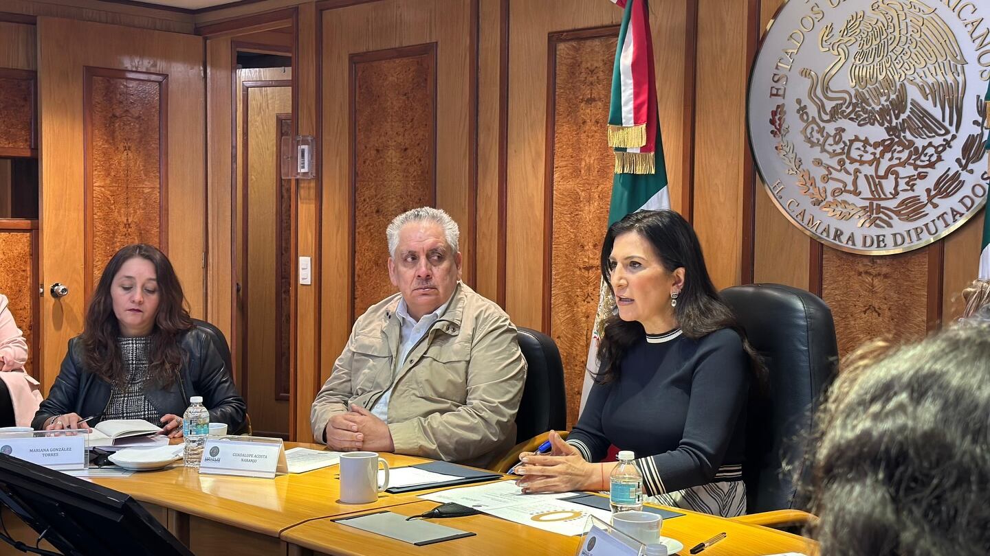 Somos México presenta propuesta de reforma electoral ante la Cámara de Diputados