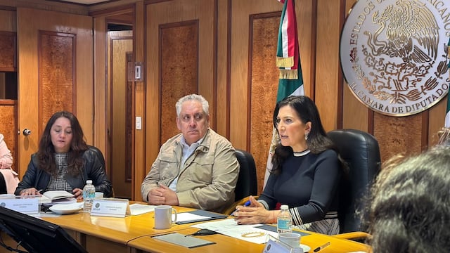 Somos México presenta propuesta de reforma electoral ante la Cámara de Diputados