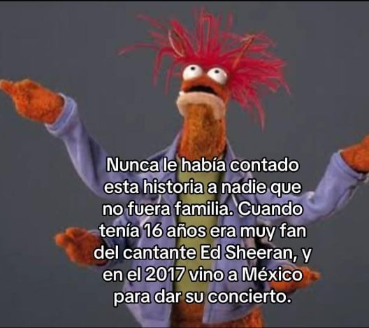 Fan de Ed Sheeran contando historia en TikTok