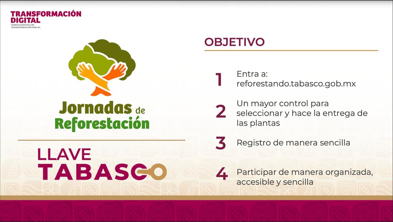 Javier May llama a reforestar Tabasco con 2.5 millones de plantas