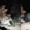 VIDEO: Alpinista hace exploración al Volcán Popocatépetl pese a advertencias; lo rescatan tras varias horas perdido