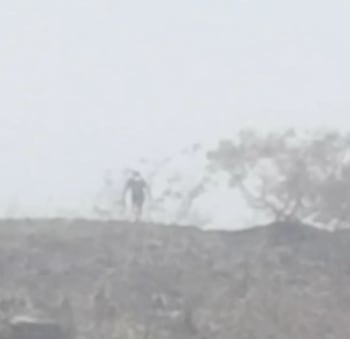 gigante en Tuxtla Gutiérrez