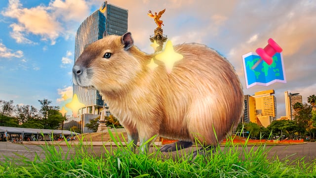 Capibara Fest 2025 en CDMX