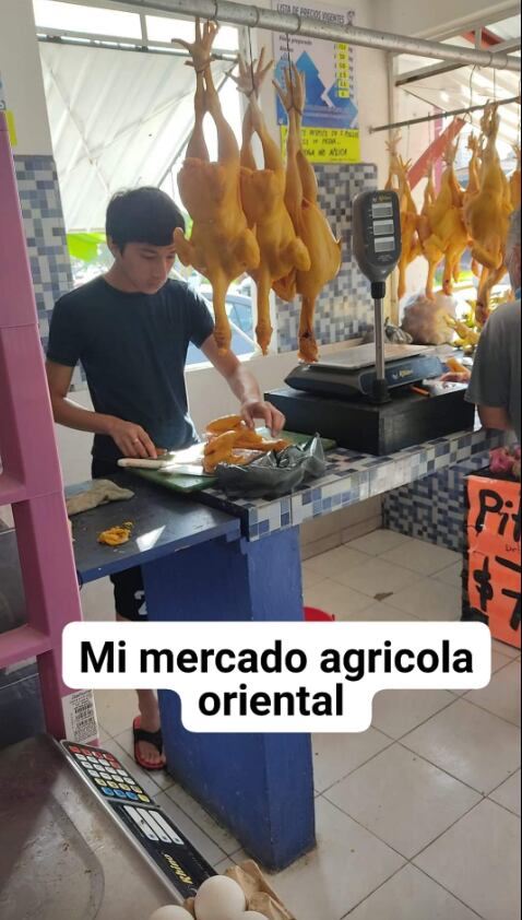 Pollería ofrece curso de verano