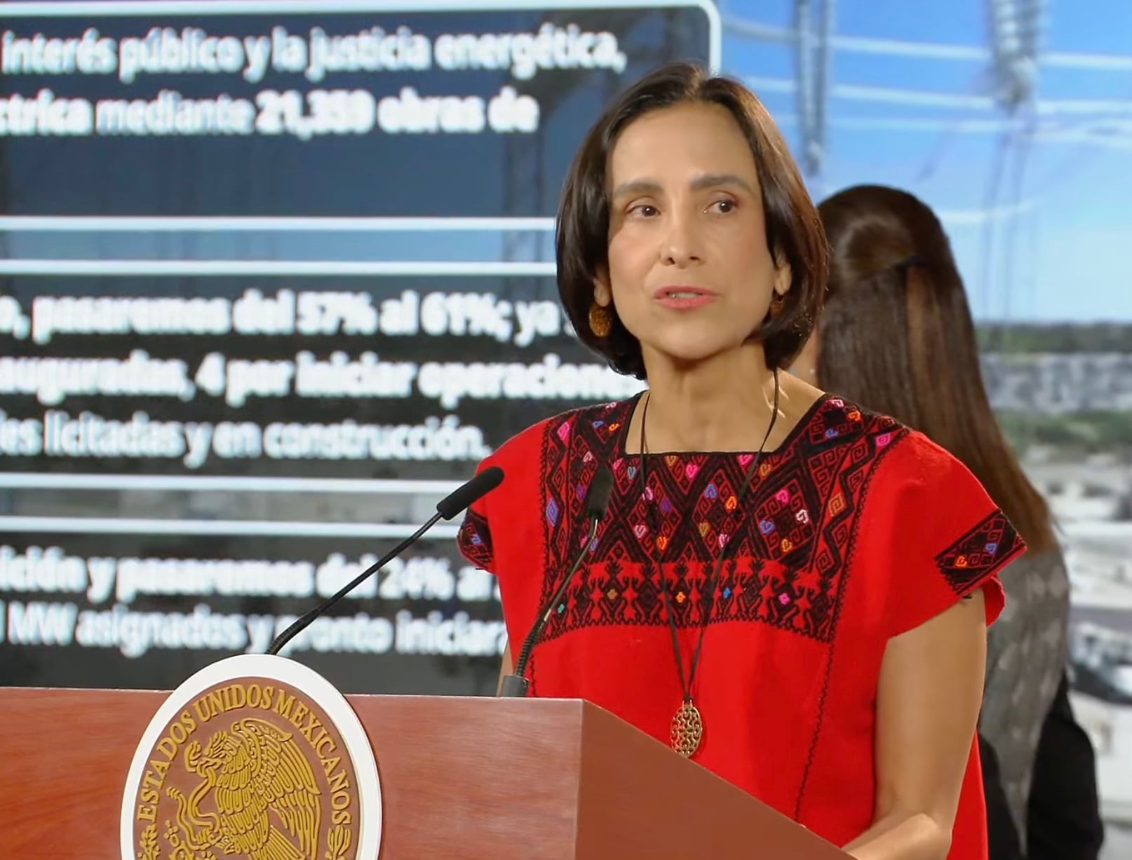 Luz Elena González Escobar, titular de la Secretaría de Energía