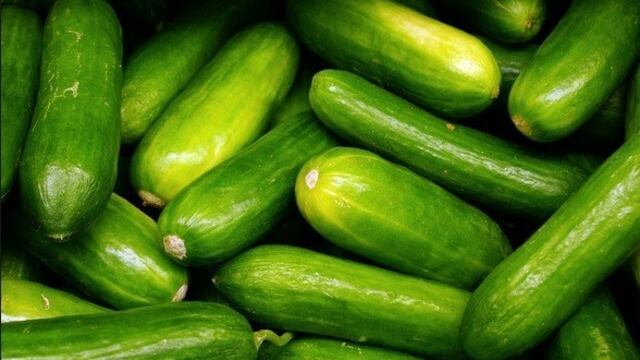 ¿Qué beneficios tiene el consumir pepino en la salud?