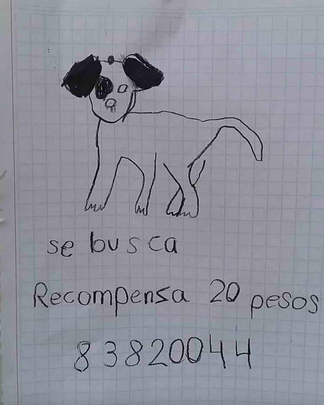 Dibujo para buscar al perrito