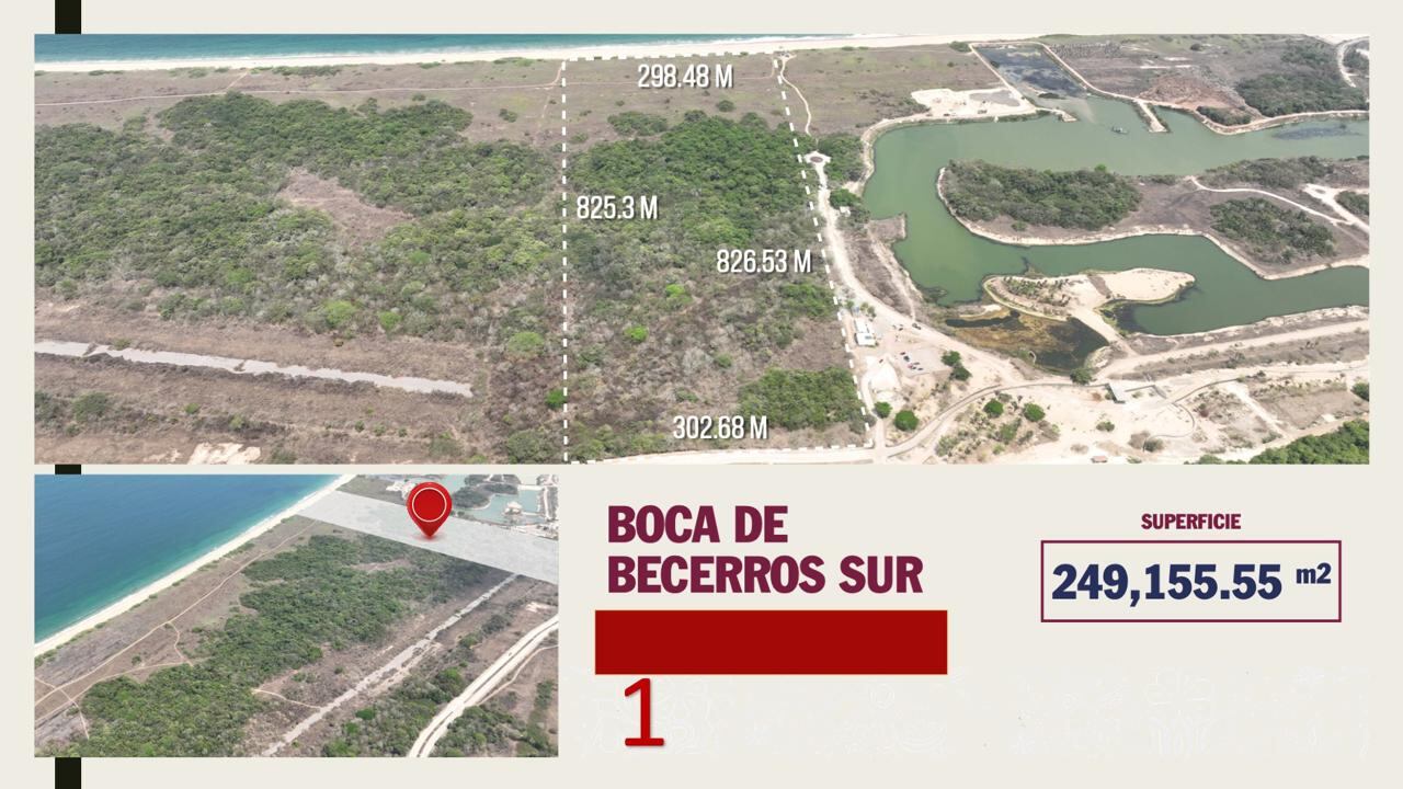 Miguel Ángel Navarro recupera 6 mil mdp en terrenos vendidos ilegalmente